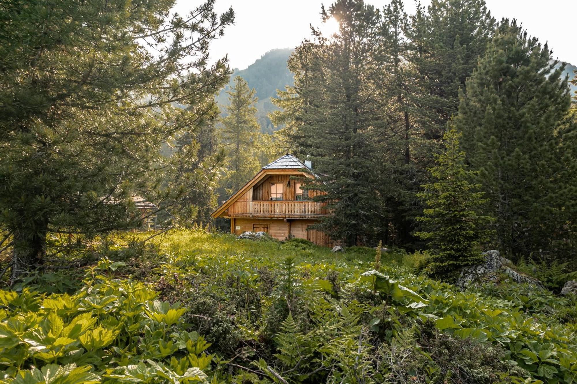 Alpin-Huetten Auf Der Turracherhoehe Haus Murmeltier By S4Y Turracher Hohe Zewnętrze zdjęcie