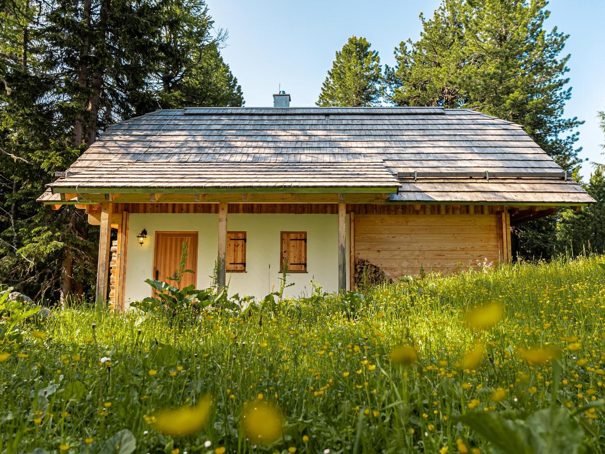 Alpin-Huetten Auf Der Turracherhoehe Haus Murmeltier By S4Y Turracher Hohe Zewnętrze zdjęcie